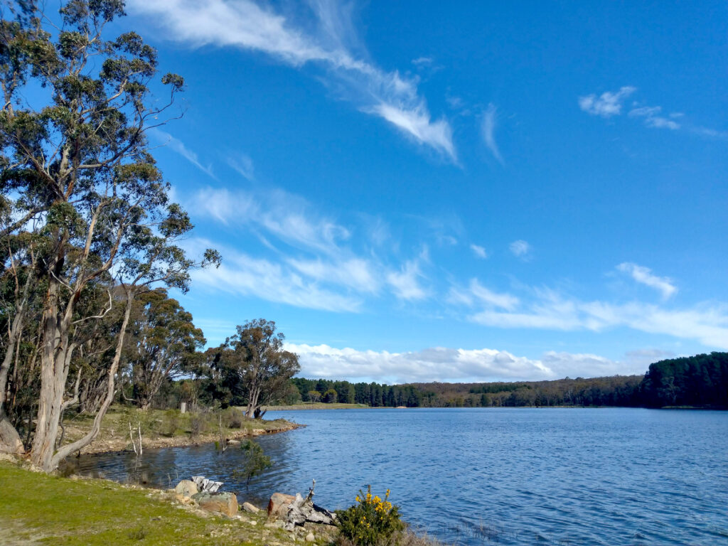 Image is of Bostock Reservoir near Ballan in Victoria, Australia. The deep blue shy is reflected in the surface of the water. The nearby rocky shoreline gives way to green grass, native eucalypts and gorse bushes with vivid yellow flowers. Plantation pine trees line the far shores.