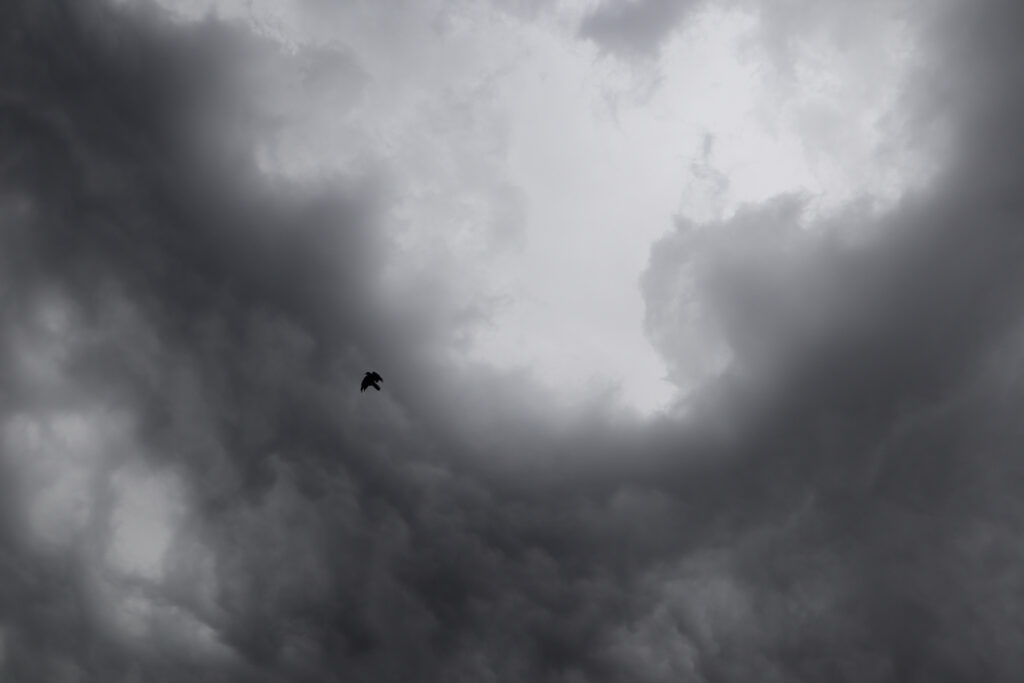 Dark grey storm clouds swirling against a lighter grey sky. In the midst of the clouds, a black raven is tossed about by the powerful winds.